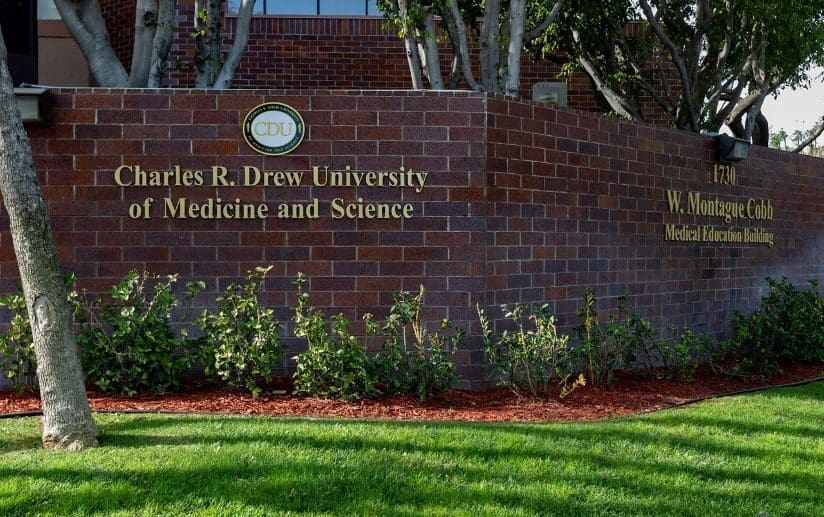 CDU logo located behind the Cobb Buidling.