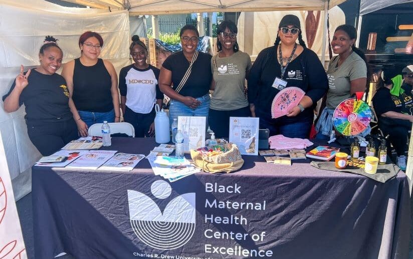 CDU students volunteer at the Black Maternal Health Center of Excellence booth at Taste of Soul.