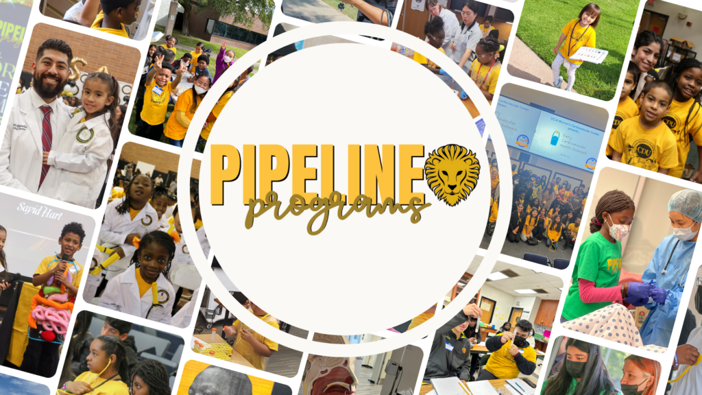 Ӱҵ Pipeline Programs