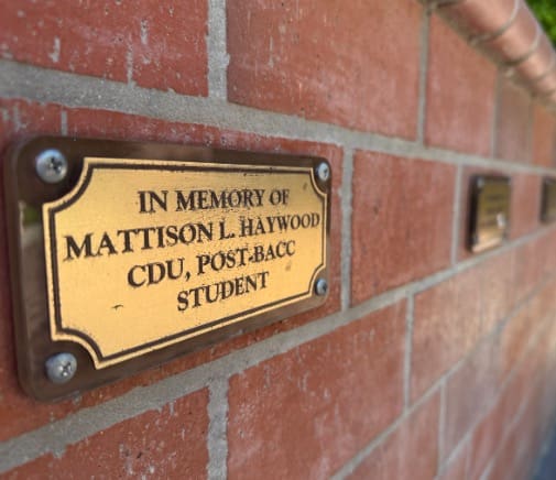 Name on Brick
