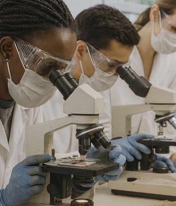 Students using equipment