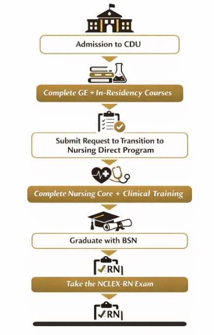 Pre-Nursing to BSN pathway steps from admission to NCLEX-RN licensure
