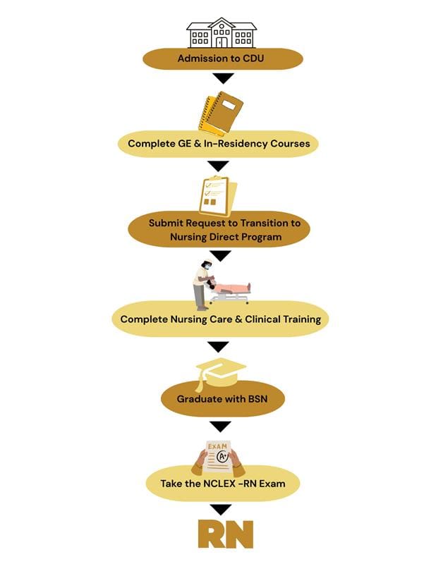How the Pre-Nursing to BSN Pathway Works